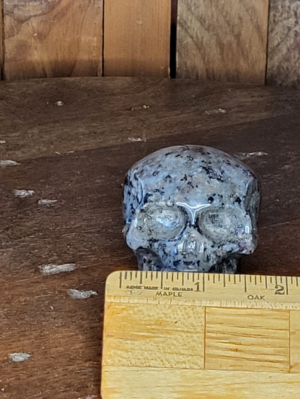 Yooperlite Skull - Picture 17 of 17